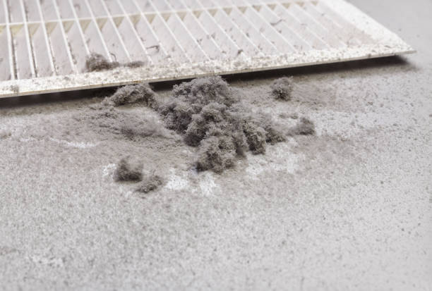 Best Air Vent Cleaning Services  in Good Hope, CA