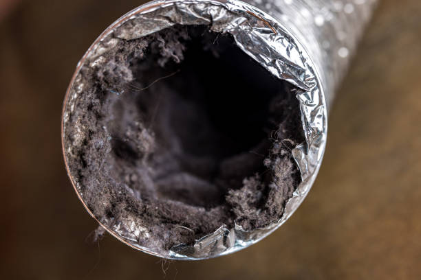 Best Ventilation Cleaning Services  in Good Hope, CA