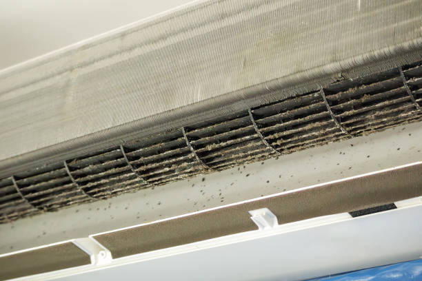 Best Duct Cleaning for Offices  in Good Hope, CA